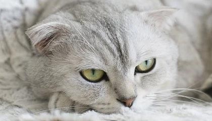 商贸行业，未来十年的机遇与挑战